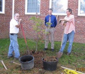 11/8/2011 Two Trees at Norris Middle School